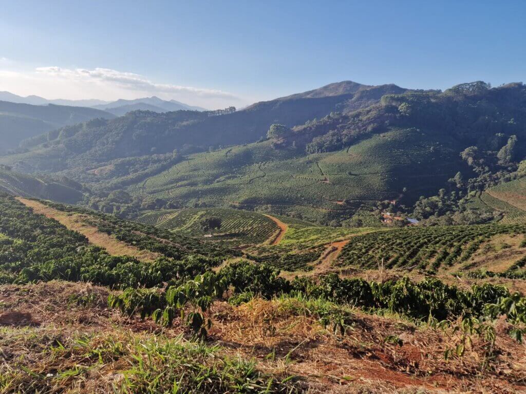 Farma Fazendas Dutra v Brazílii